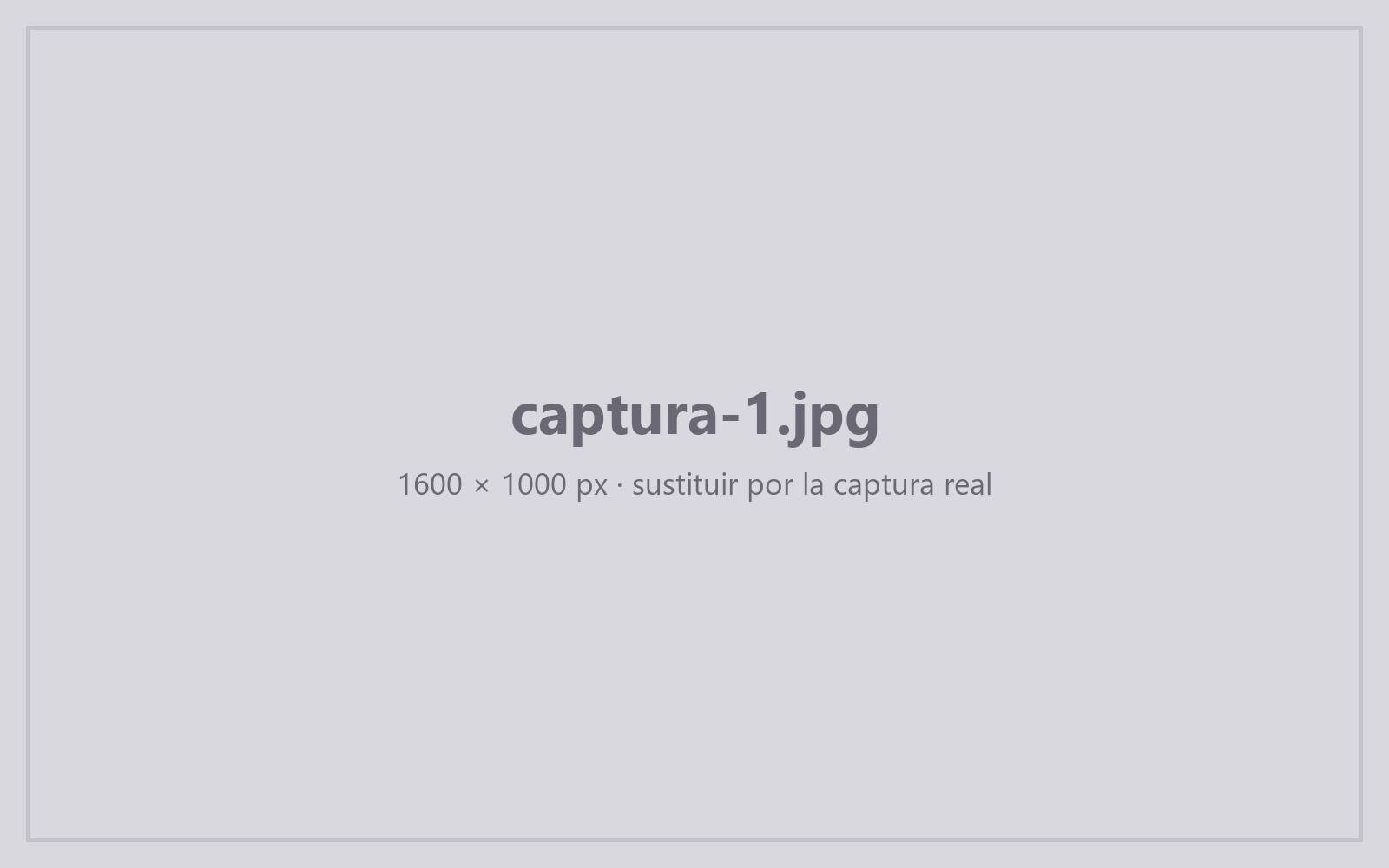 Captura de GN Core: ficha de un jugador con su documentación y sus cuotas